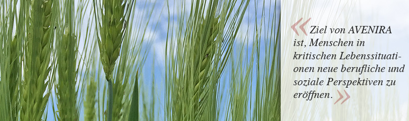 Gesundheits- und Lösungsorientiertes Coaching